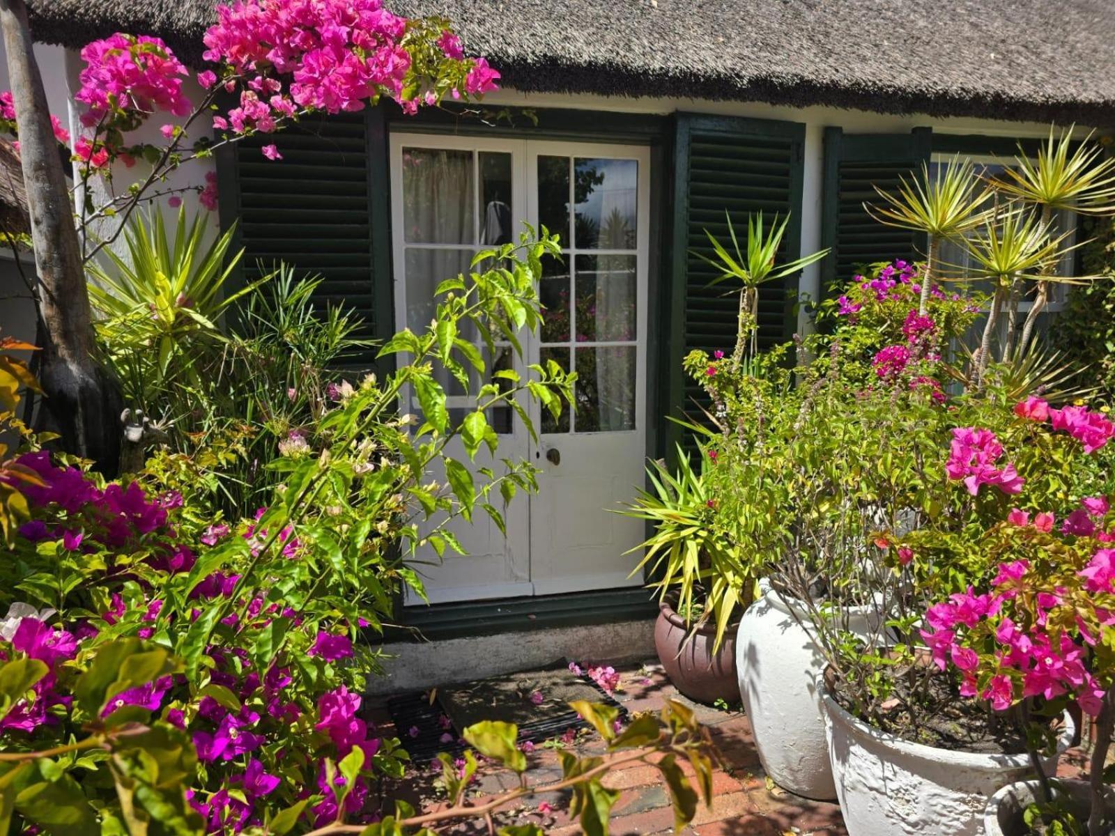 Meyerhof Apartment Cape Town Exterior photo